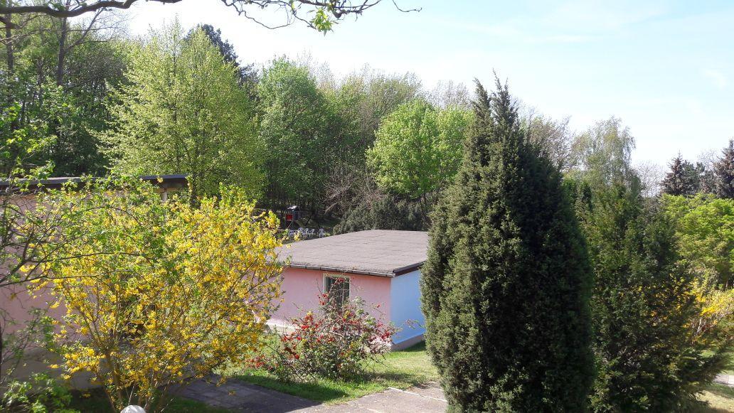 Bungalows Zur Alten Faehre Werder  Esterno foto